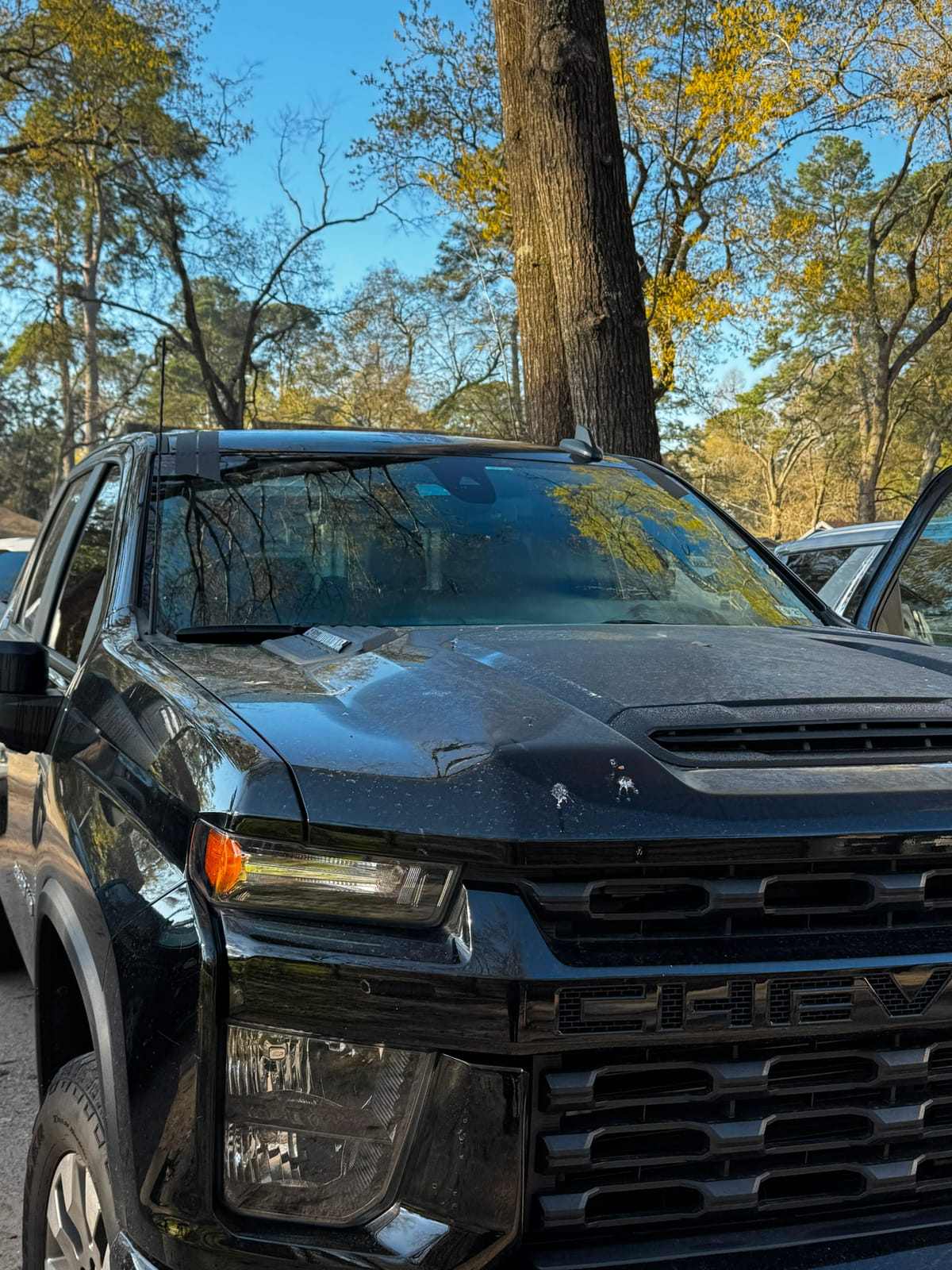 Black Chevrolet Silverado HD pickup with a new windshield parked outdoors under trees